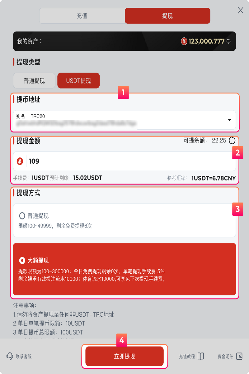 金沙体育提款教程 3 USDT提款页面